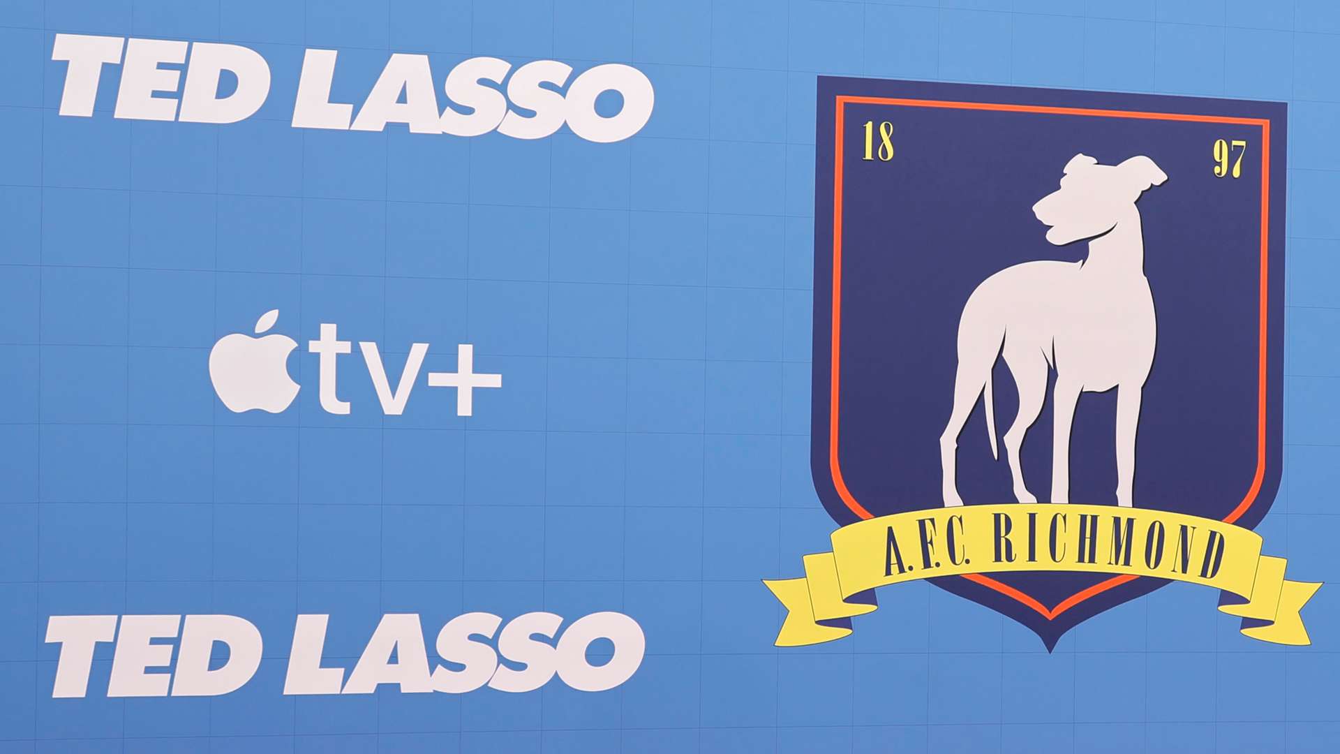 机构的透明 机构的透明