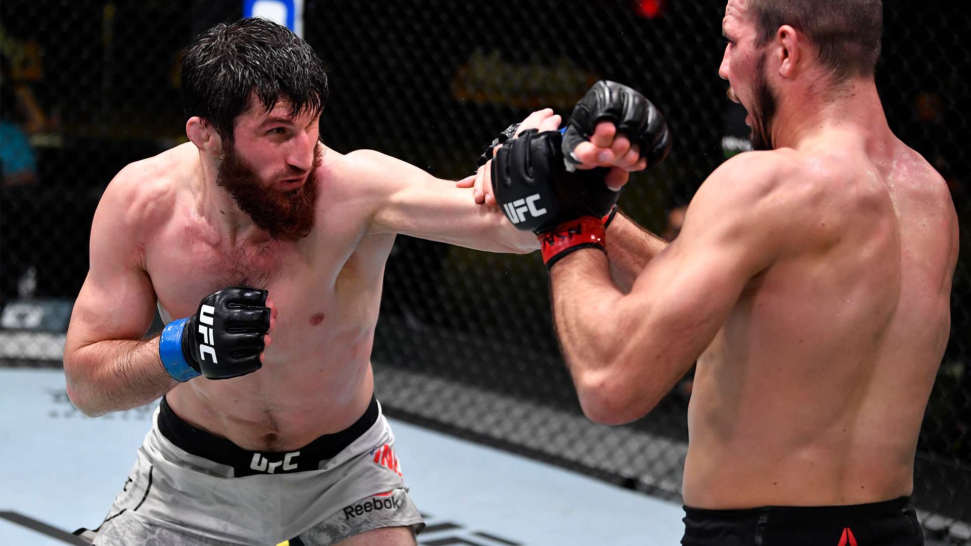 这样的戏剧 这样的戏剧